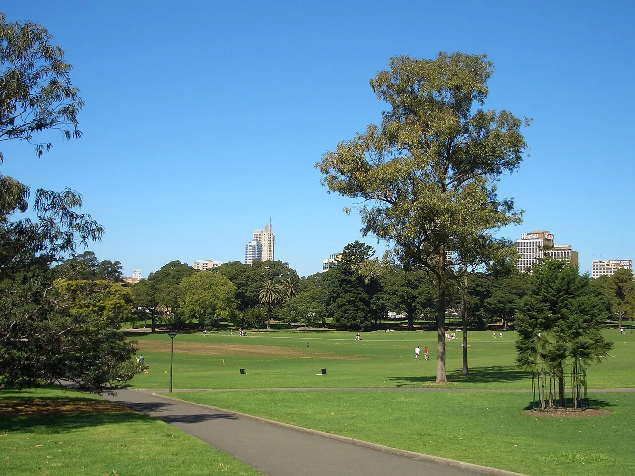 The Domain