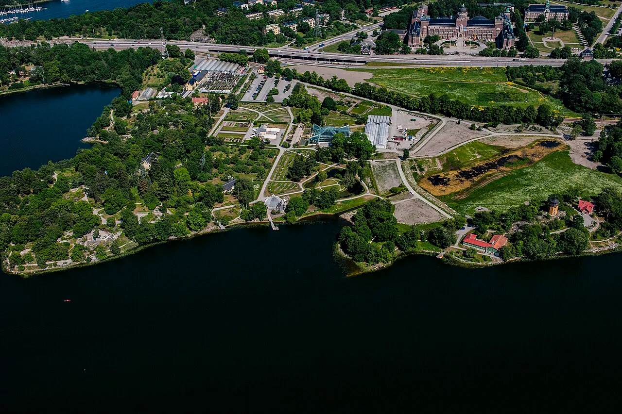 Bergianska trädgården