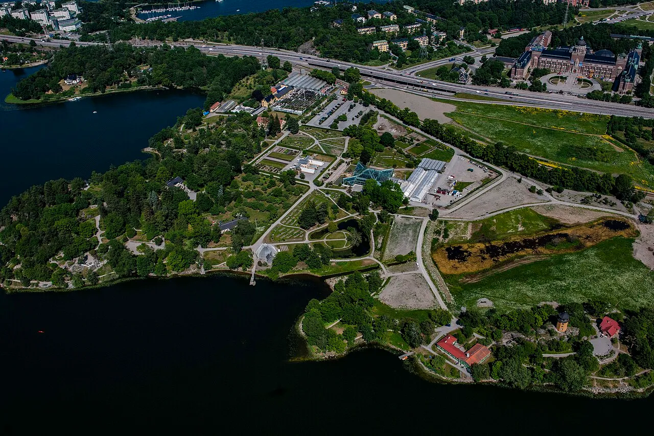 Bergianska trädgården