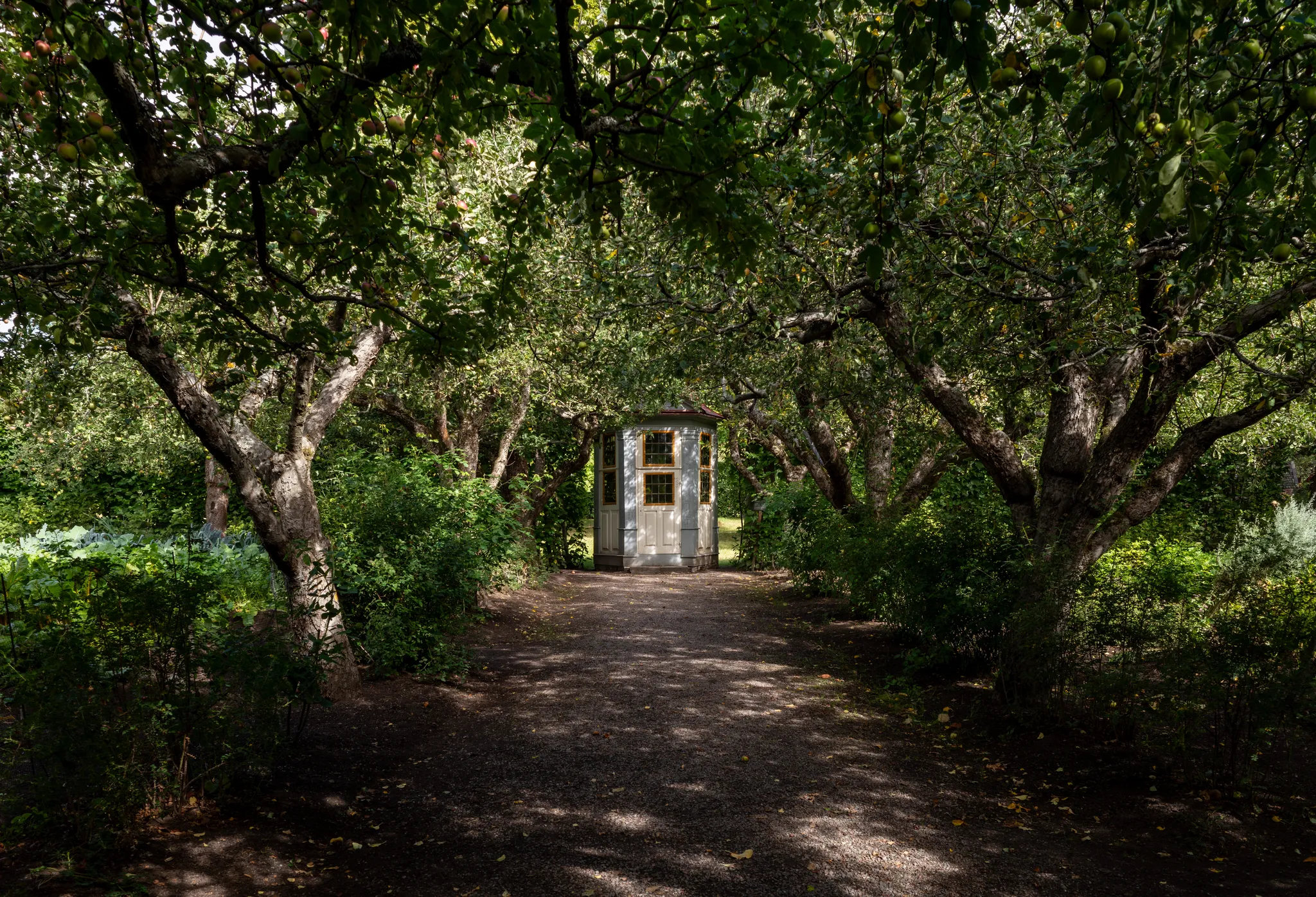 Summer house