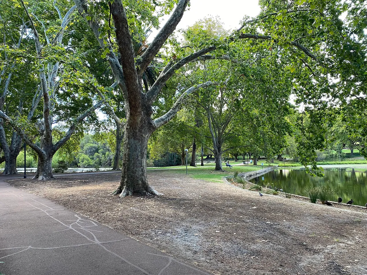 Hyde Park