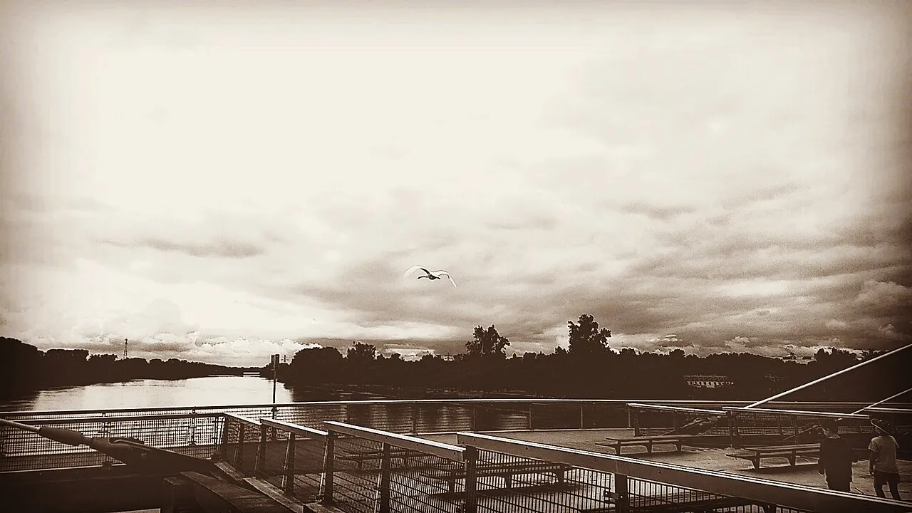 Passerelle des Deux Rives