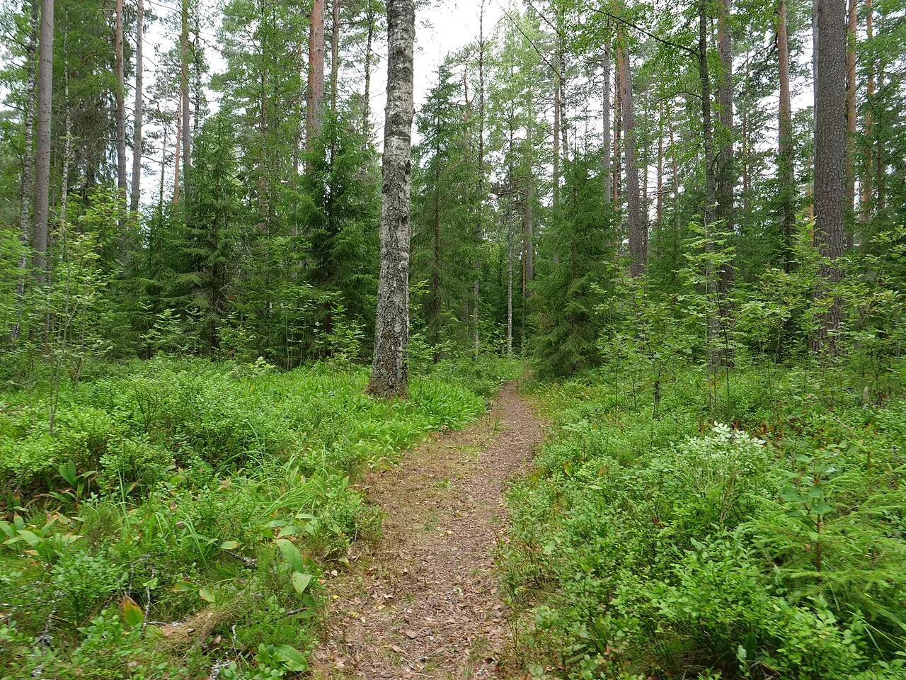 Krokbornsparken