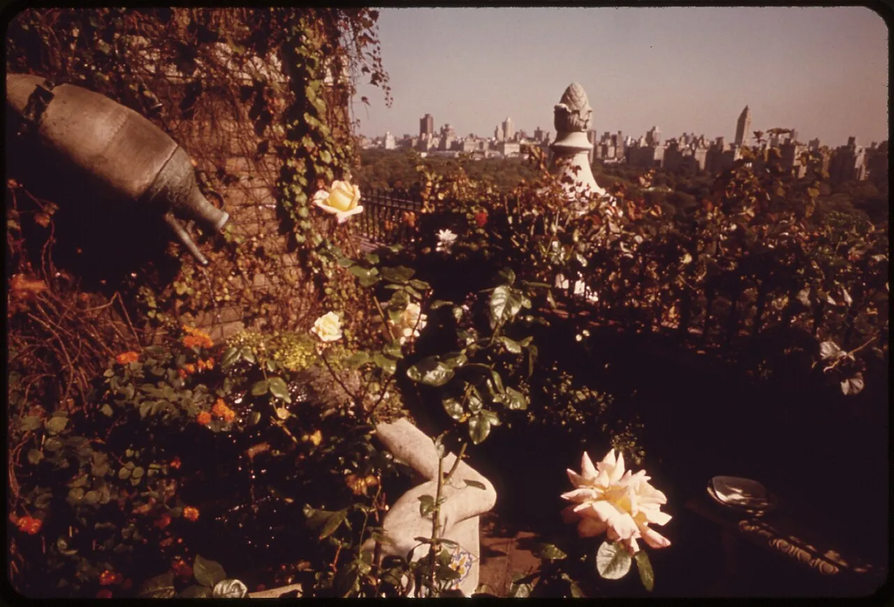 Central Park