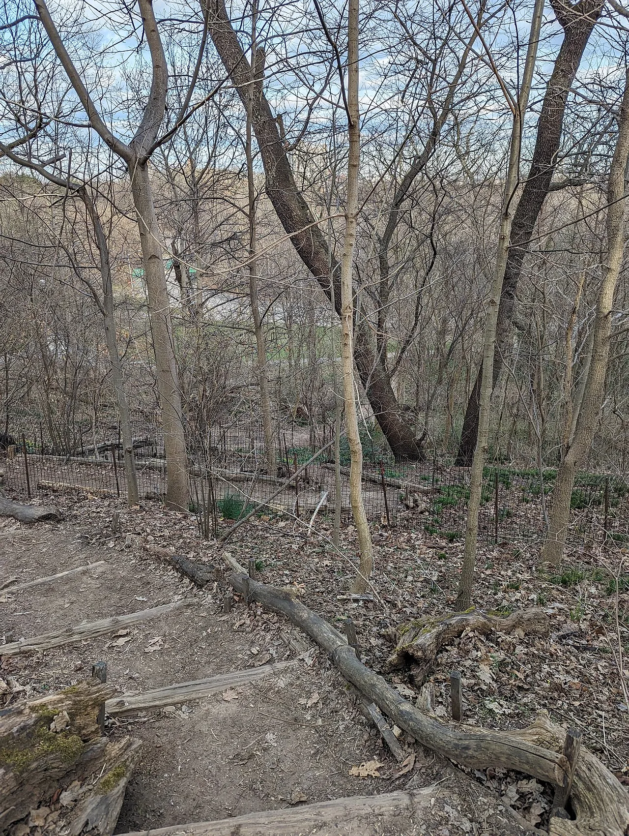 Prospect Park
