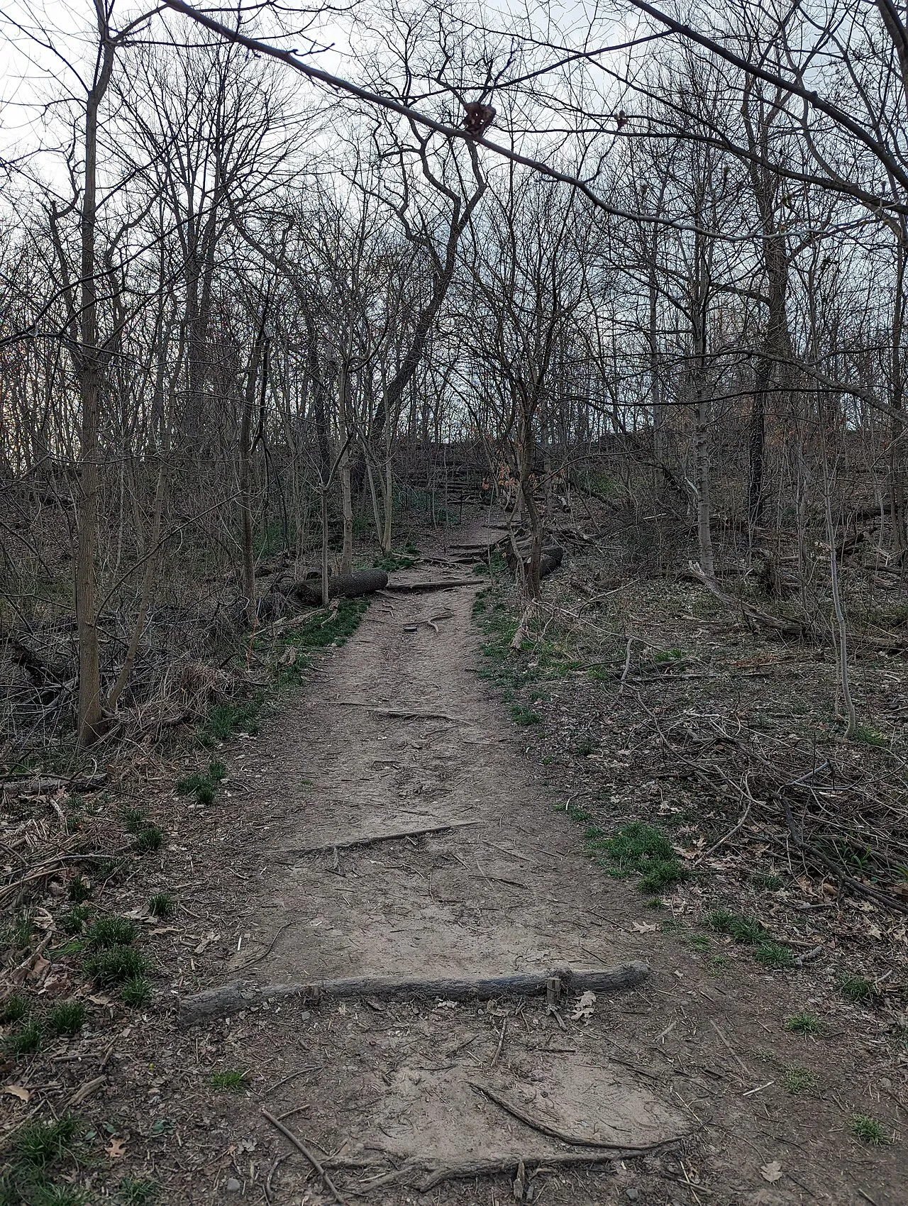 Prospect Park
