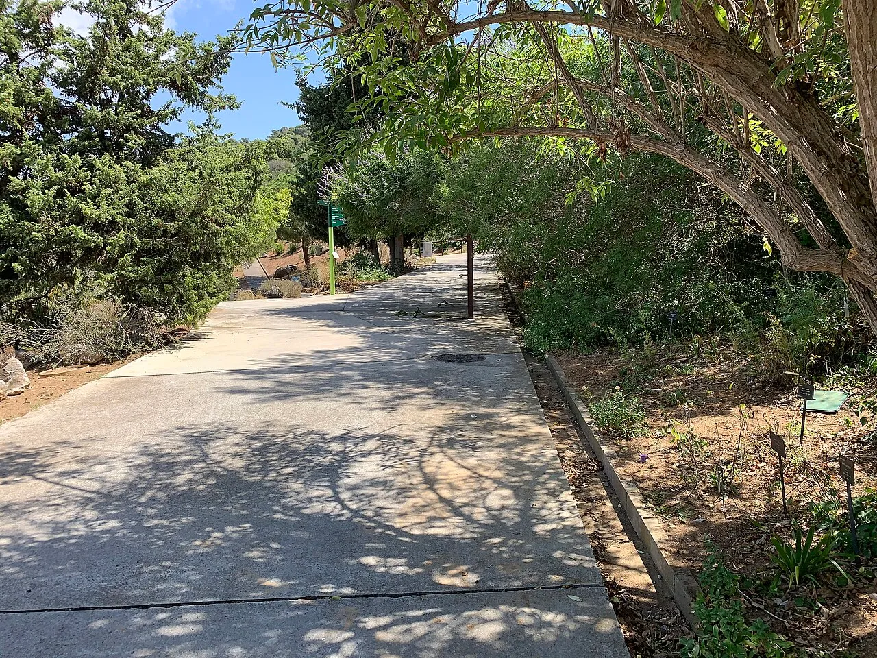 Jardí Botànic de Barcelona