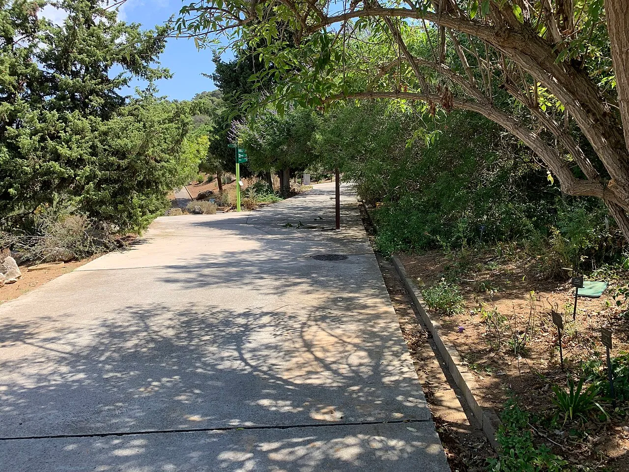 Jardí Botànic de Barcelona