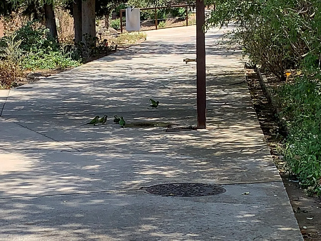 Jardí Botànic de Barcelona