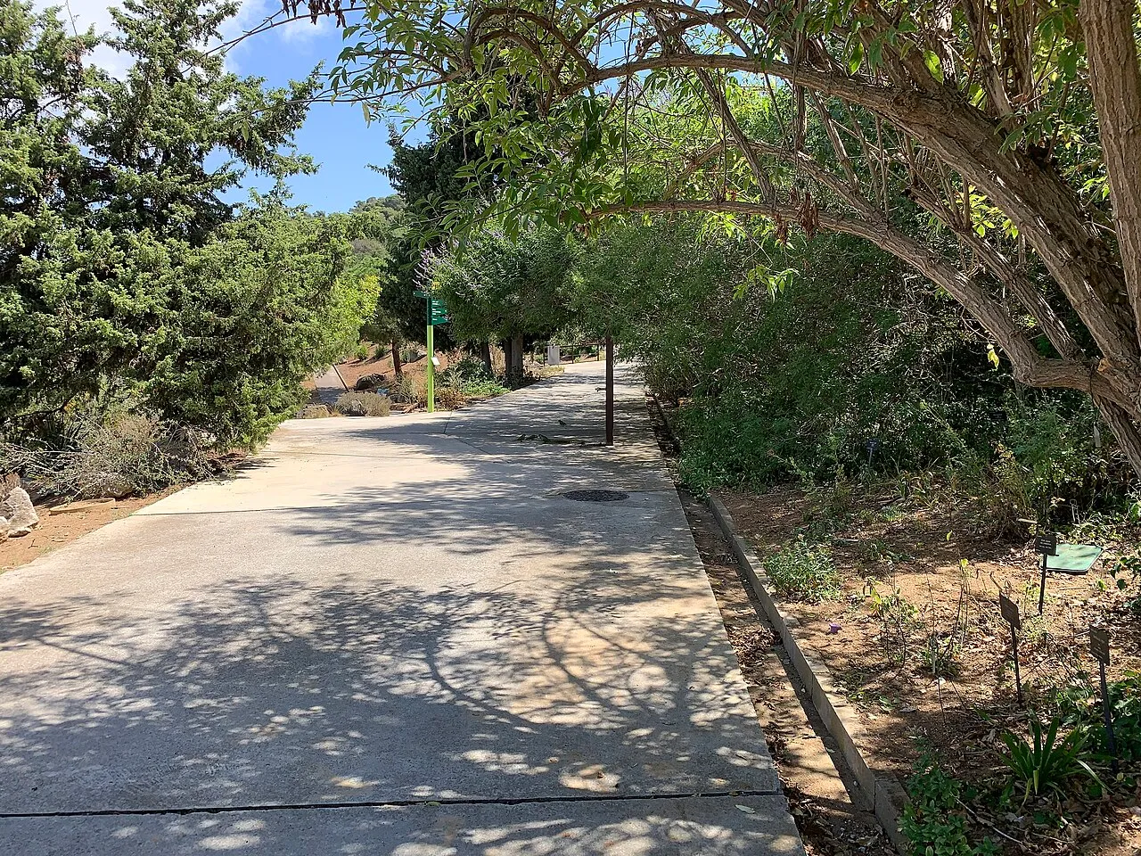 Jardí Botànic de Barcelona
