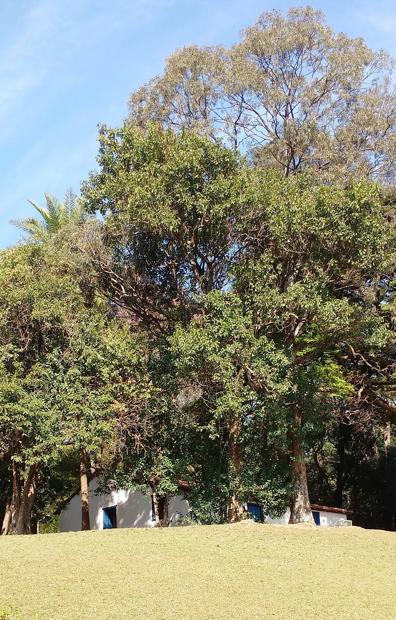 Independence Park