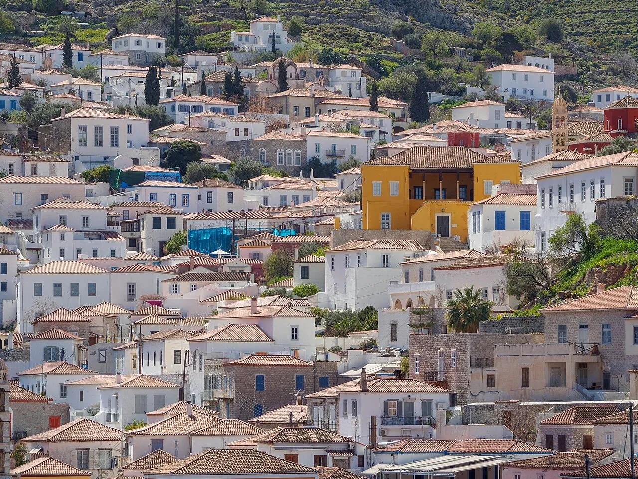 Hydra