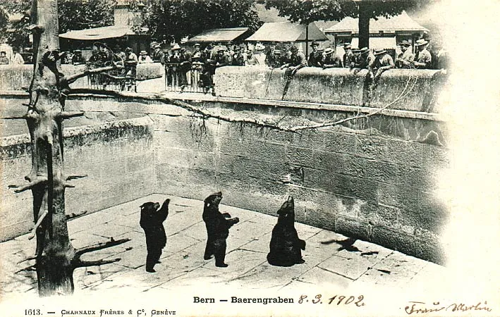 Bear Park