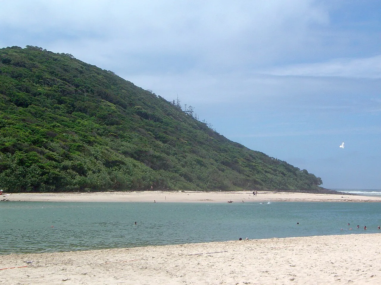 Tallebudgera Creek Estuary