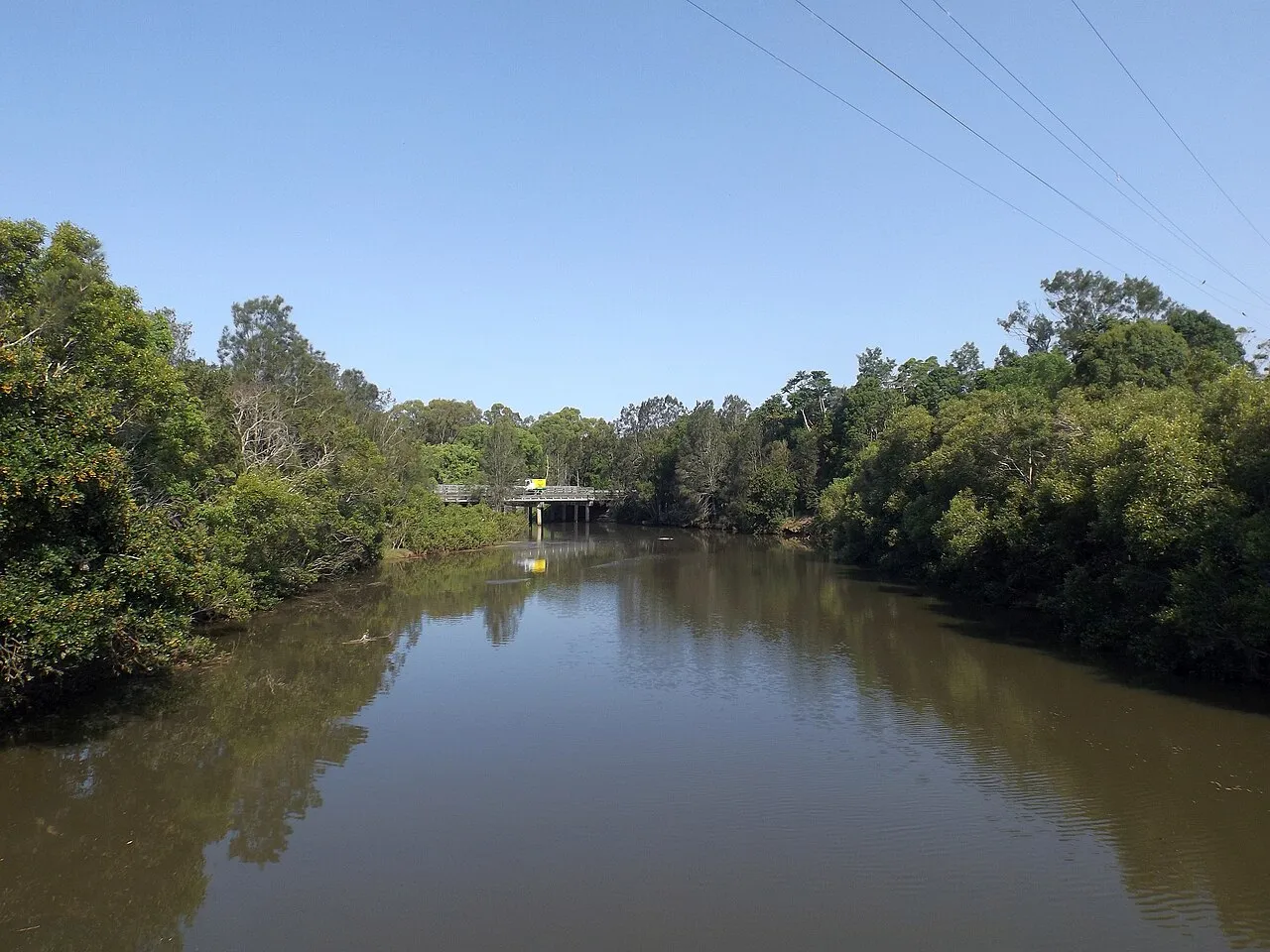 Tallebudgera Creek Estuary