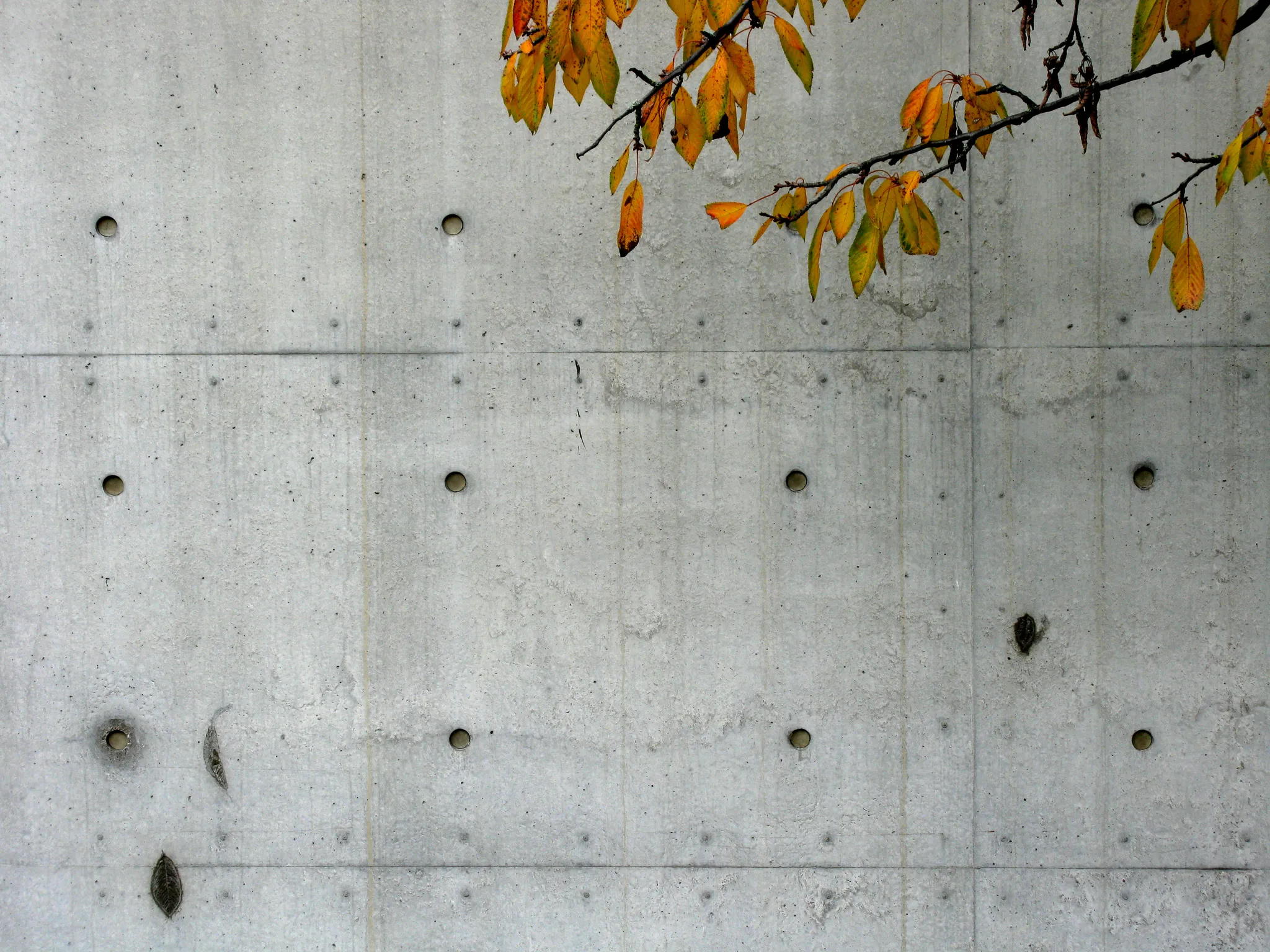 Vitra Conference Pavilion