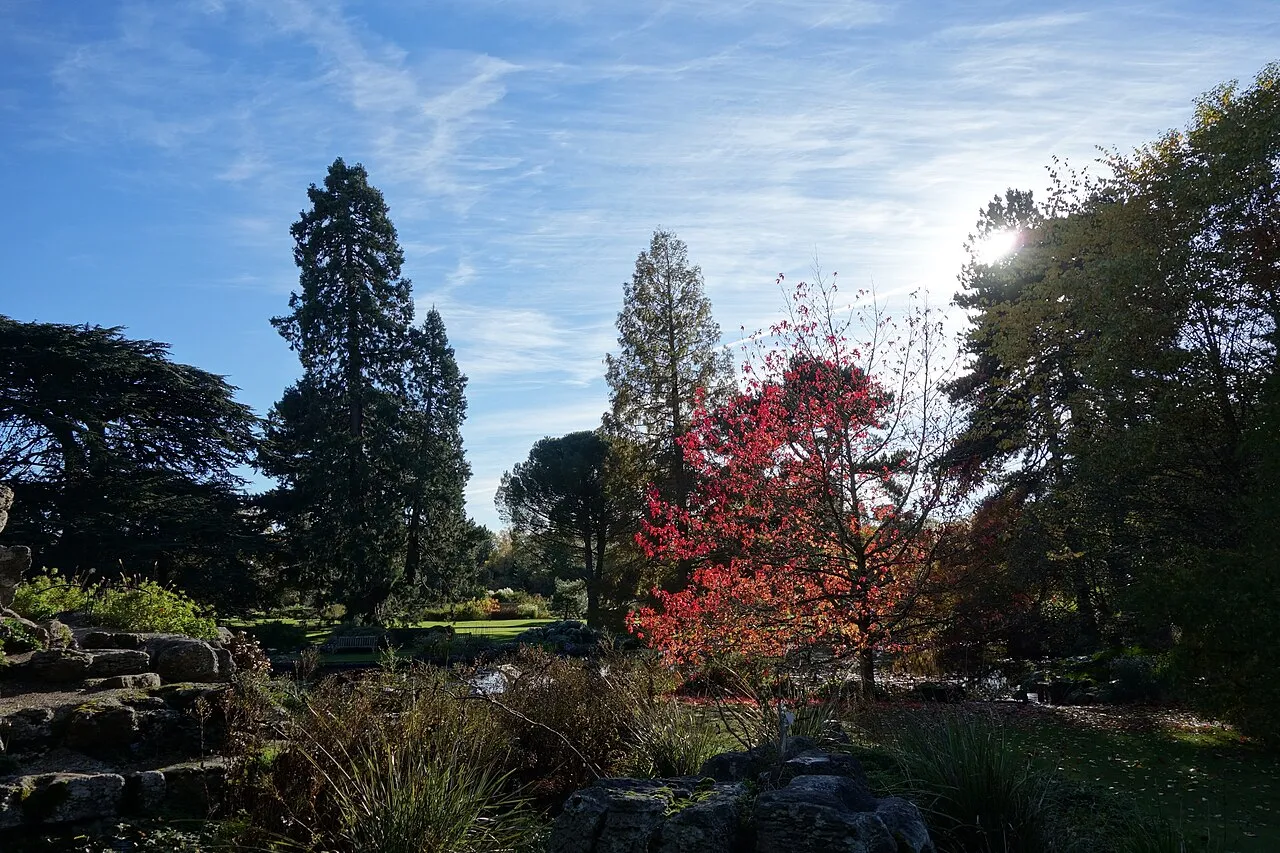 Cambridge University Botanic Garden
