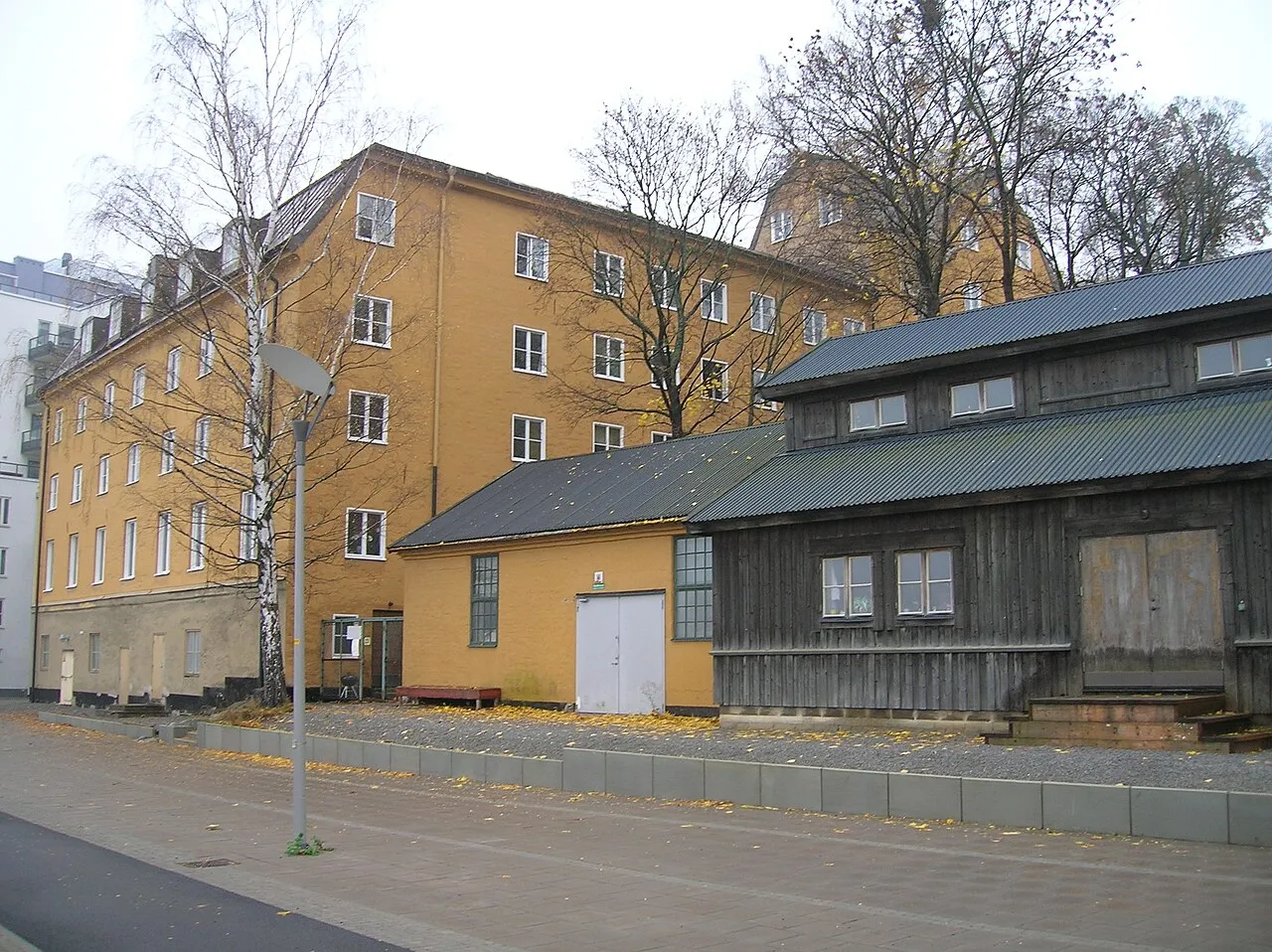 Danviks dårhus