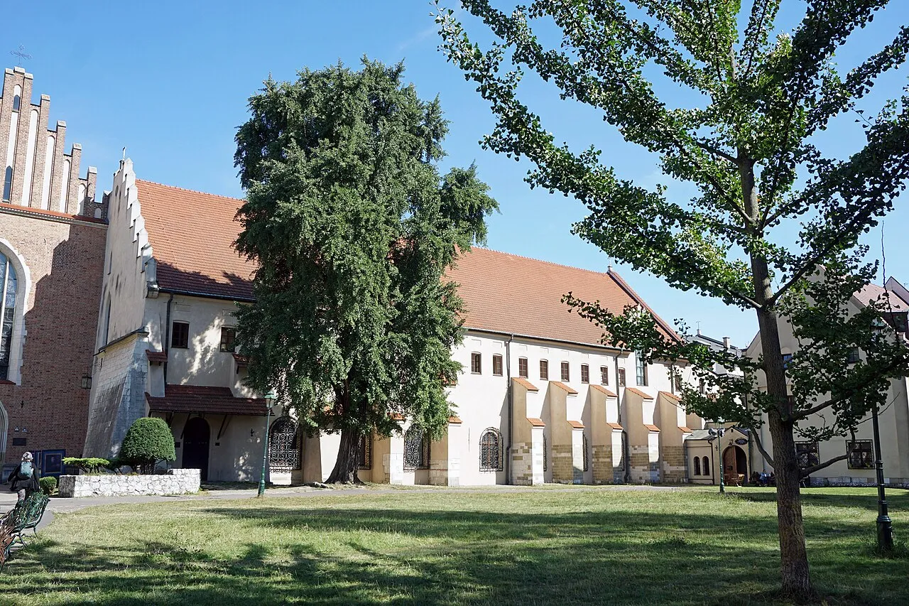 Franciscan Church