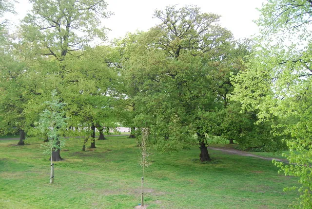 Tooting Bec Common