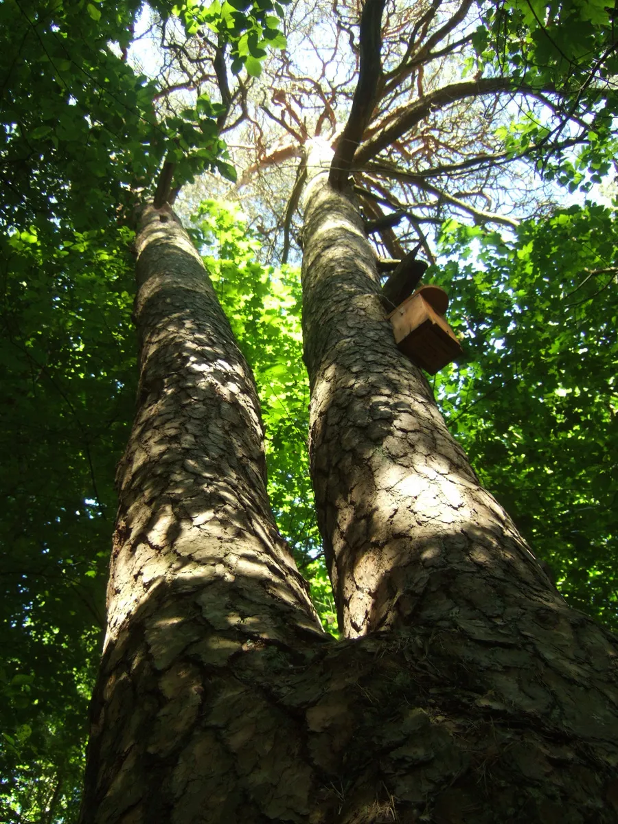 Kalnai Park