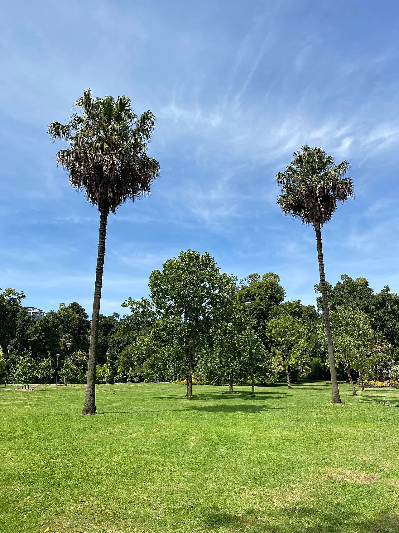 Fitzroy Gardens