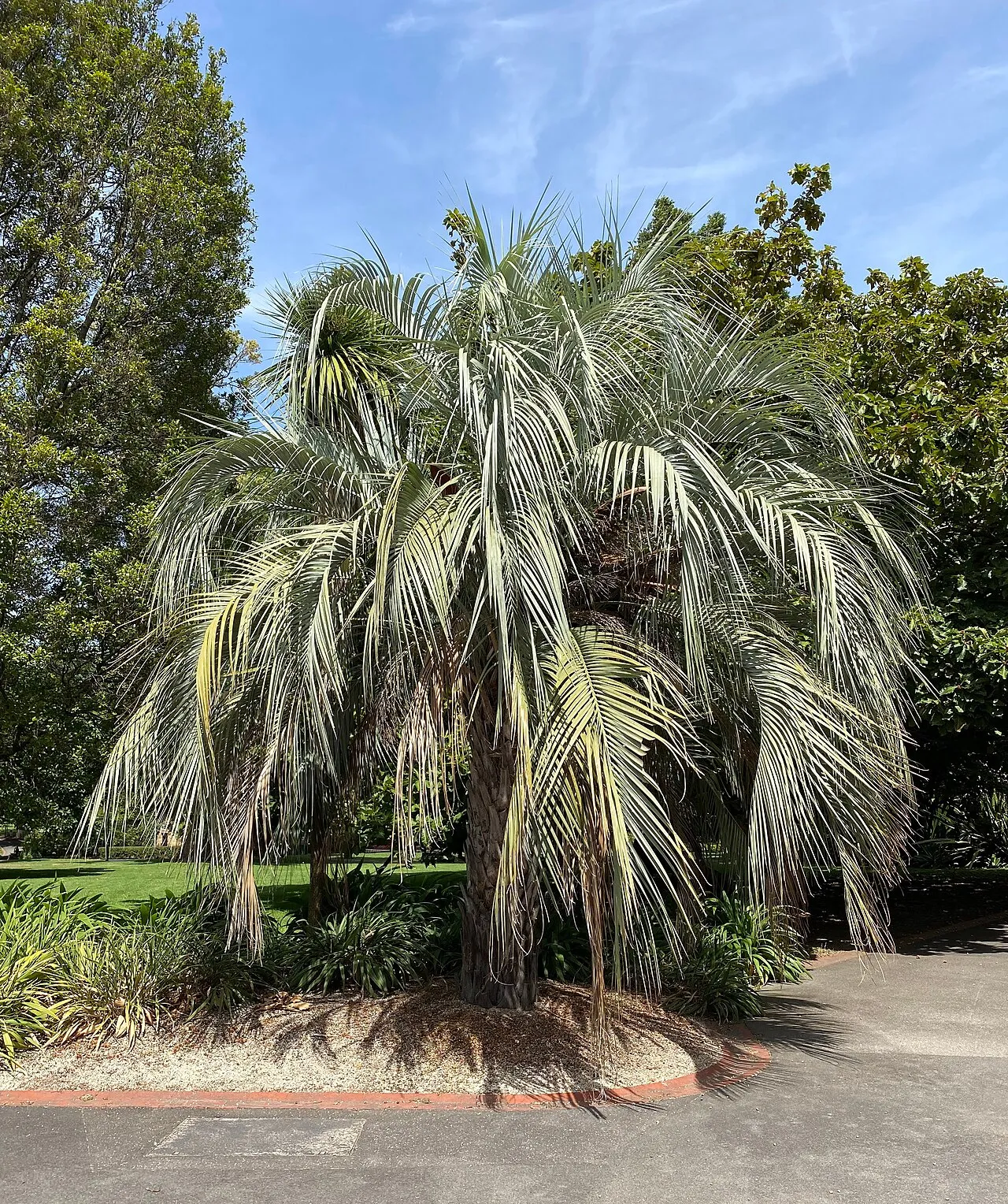 Fitzroy Gardens