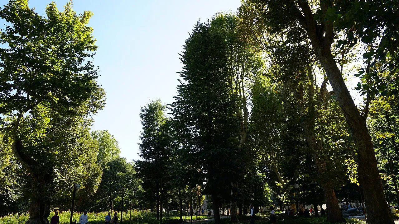 Royal Gardens