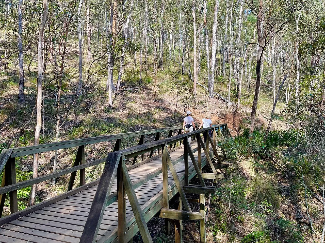 Mount Coot-tha Reserve