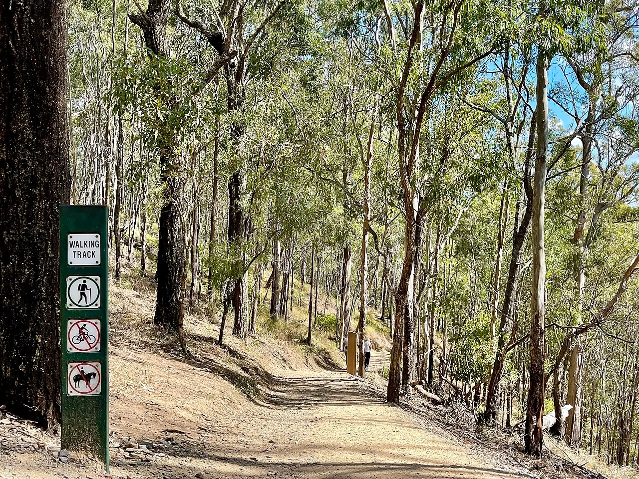 Mount Coot-tha Reserve