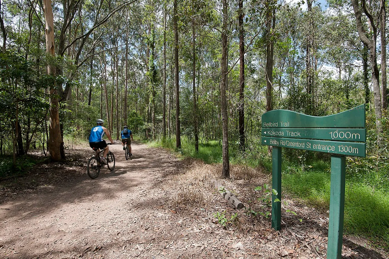 Mount Coot-tha Reserve
