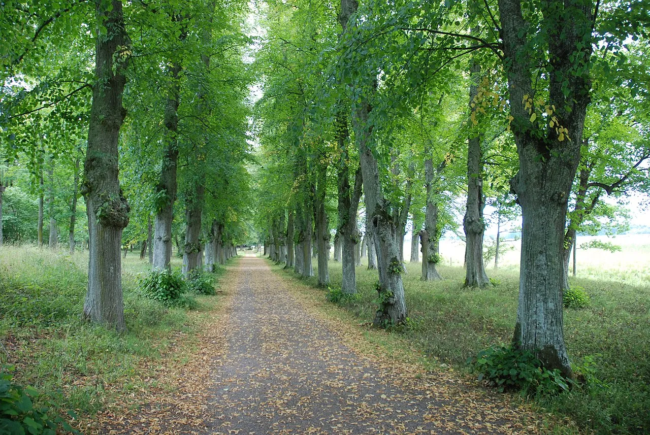 Svartsjö slott