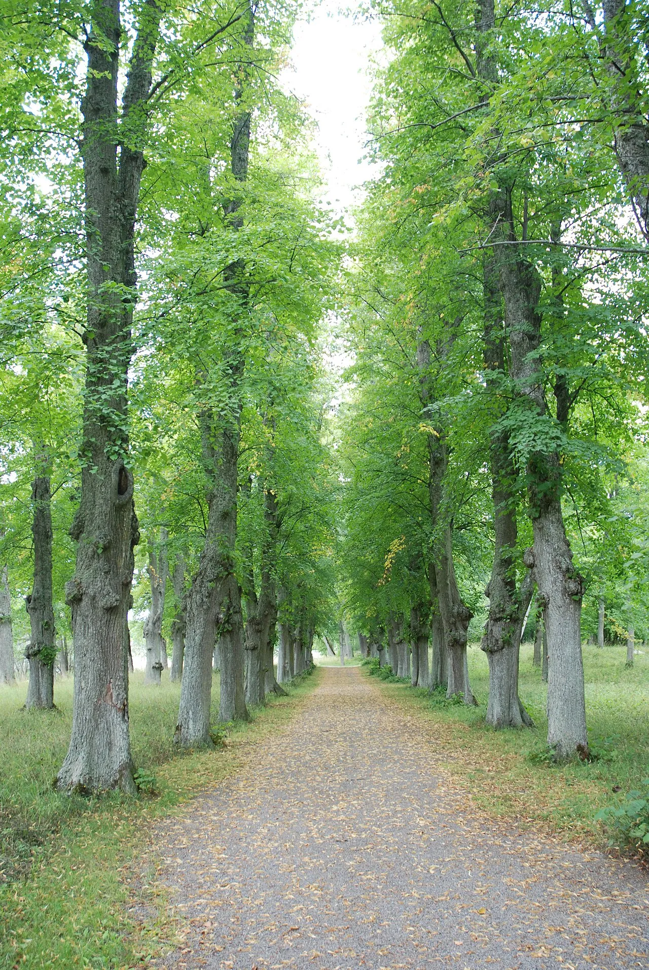 Svartsjö slott
