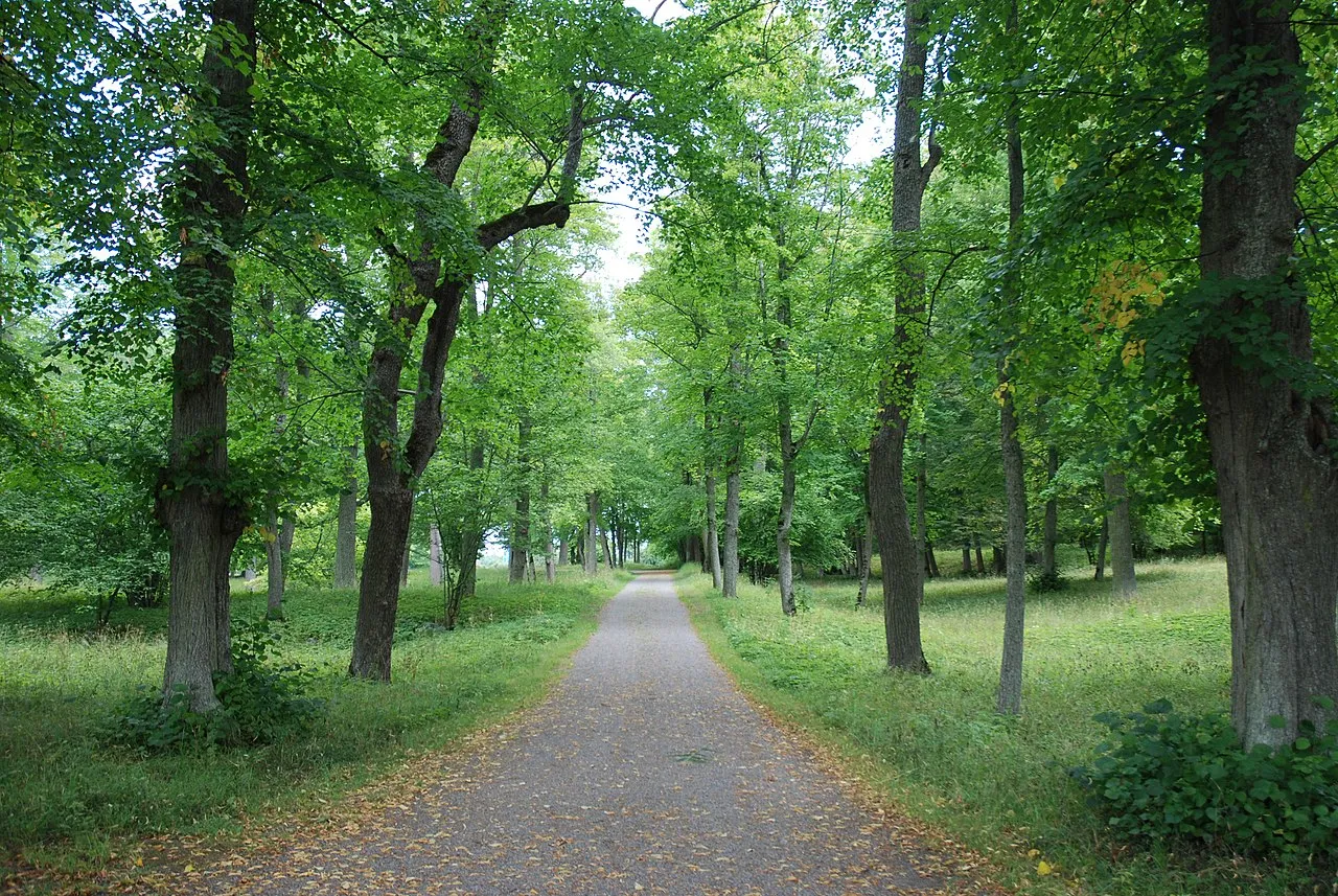 Svartsjö slott