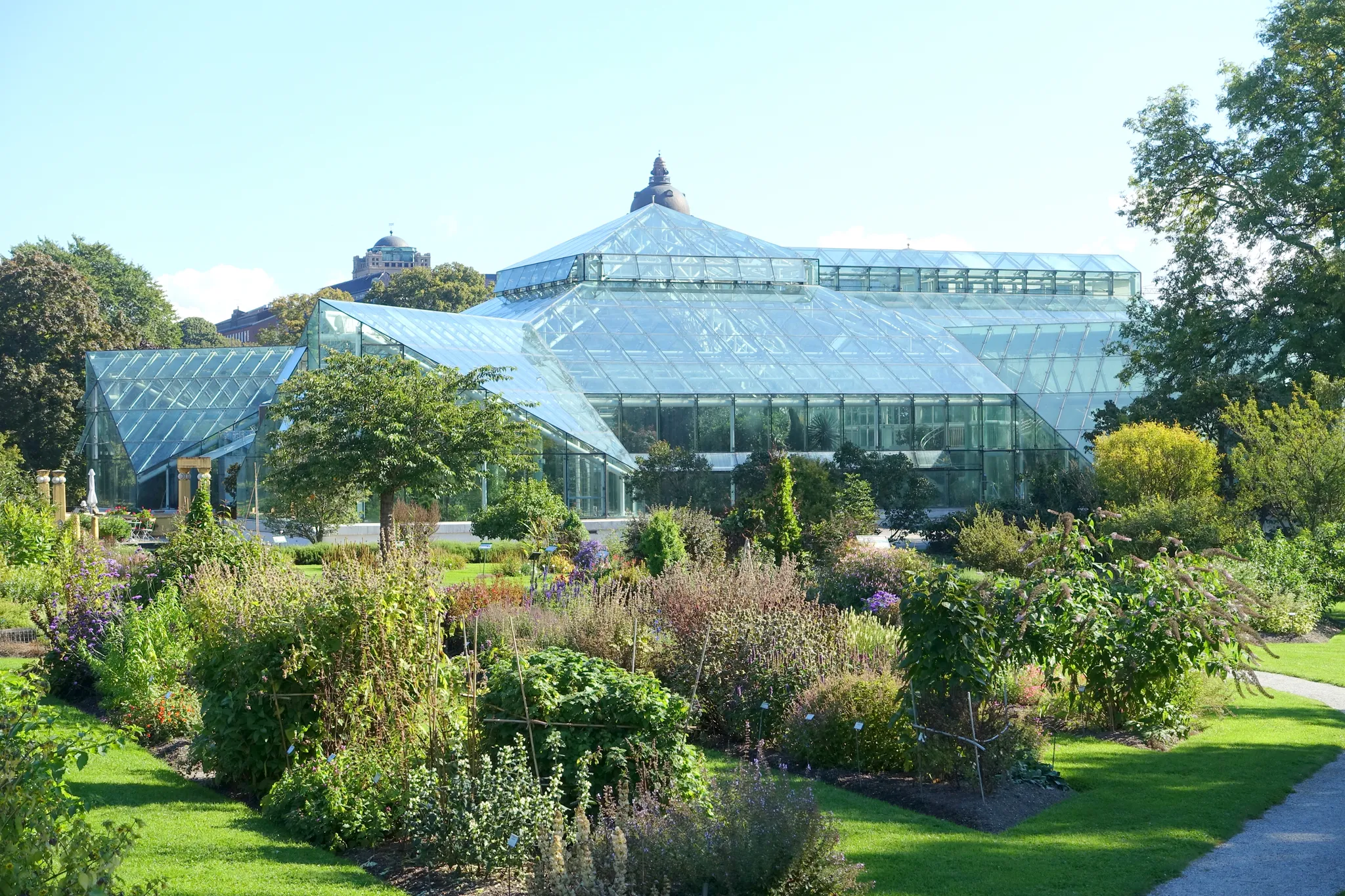 Edvard Andersons greenhouse