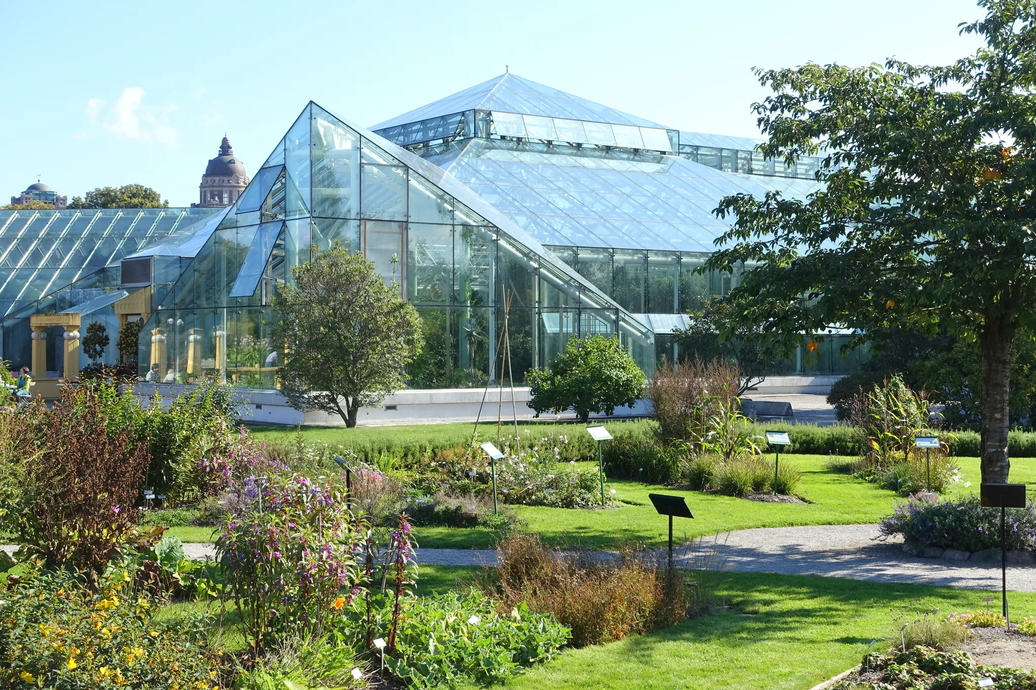 Edvard Andersons greenhouse