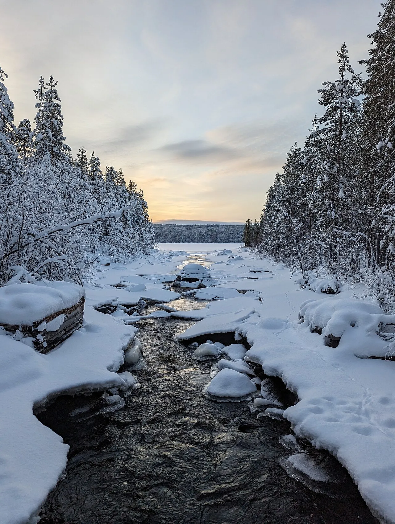 Muddus National Park