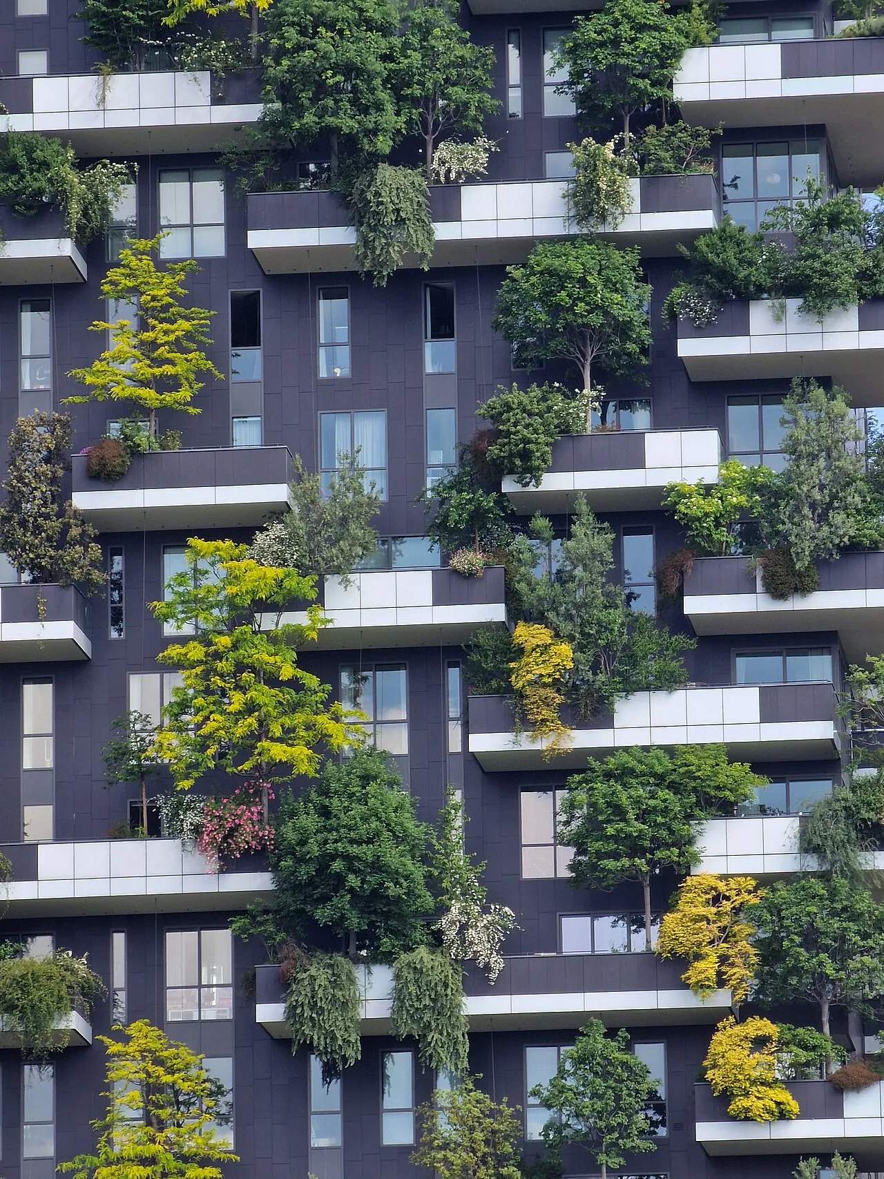 Vertical Forest