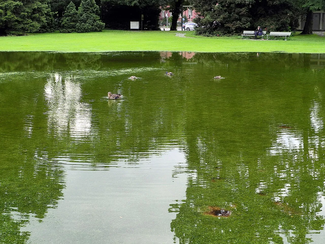 Arboretum Zürich