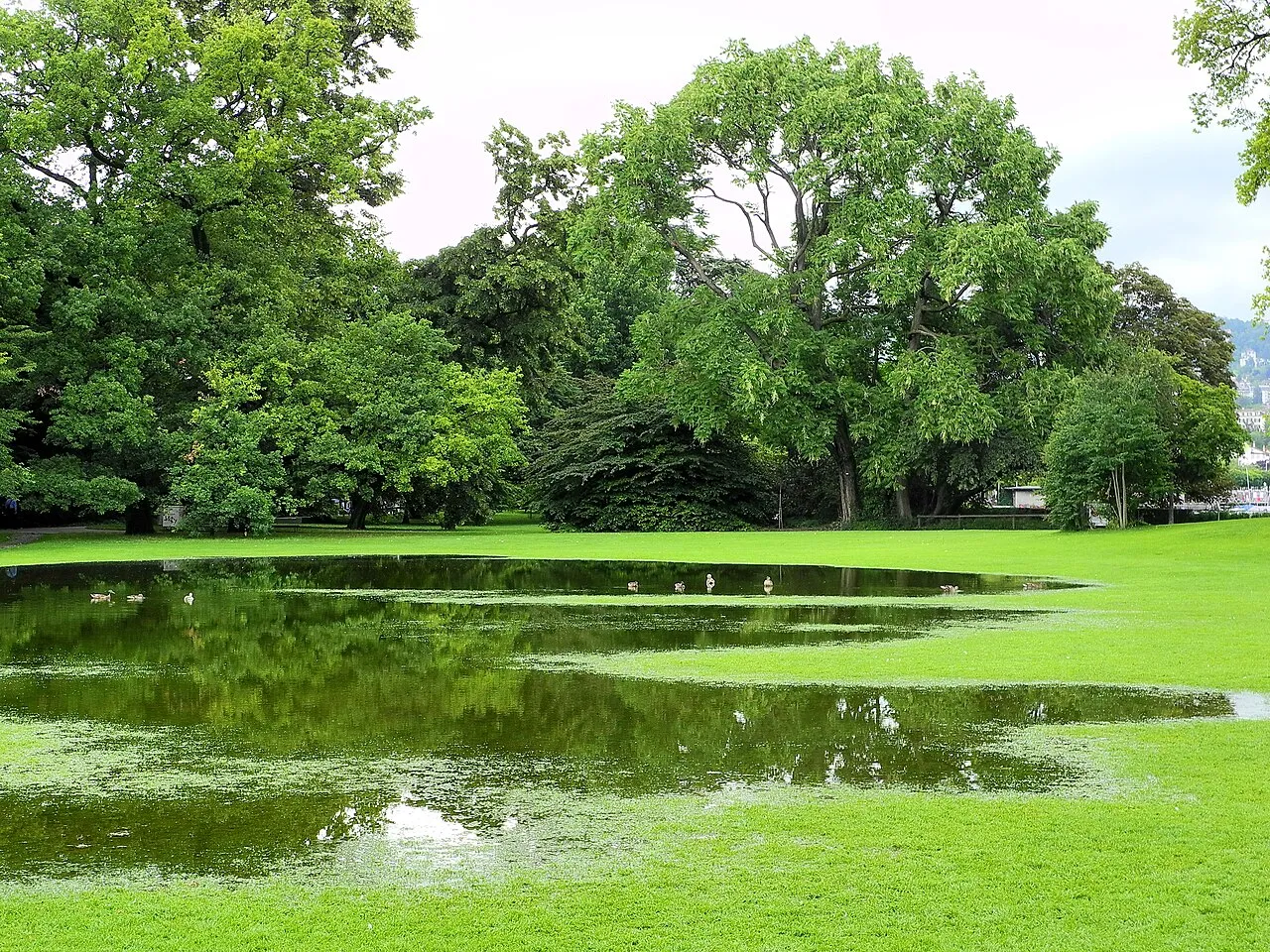 Arboretum Zürich