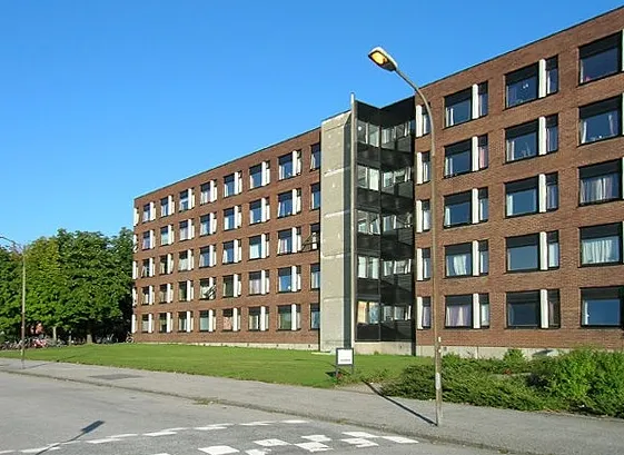 Vildanden