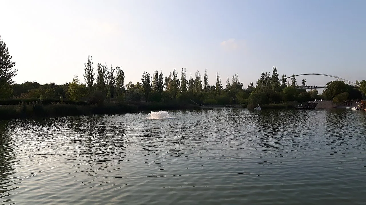 Head Park