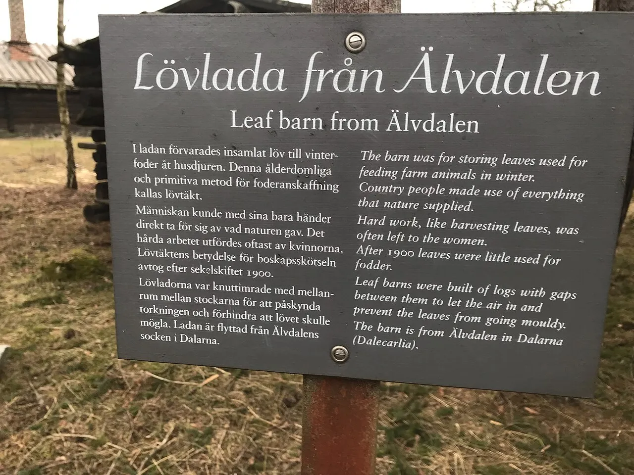 Hölada