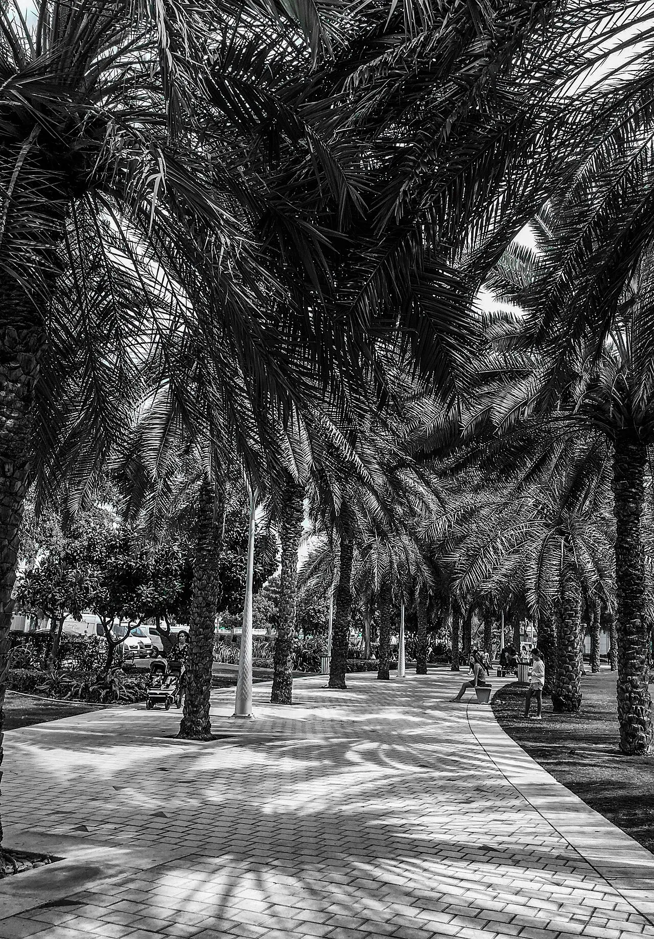 Zabeel Park