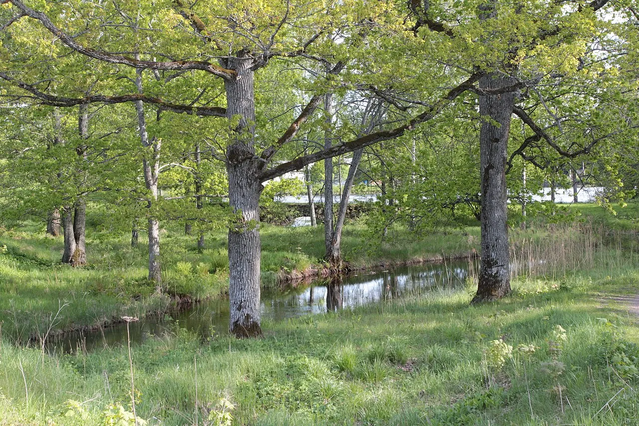 Söderfors bruk