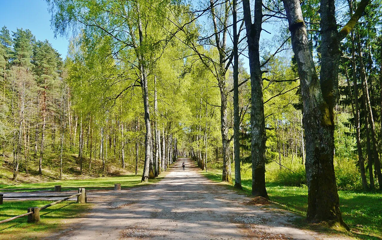 Open-Air Ethnographic Museum