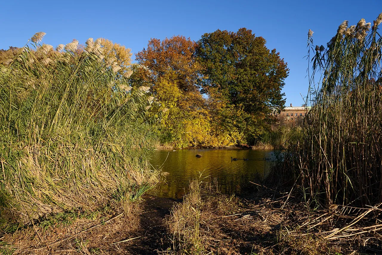 Back Bay Fens