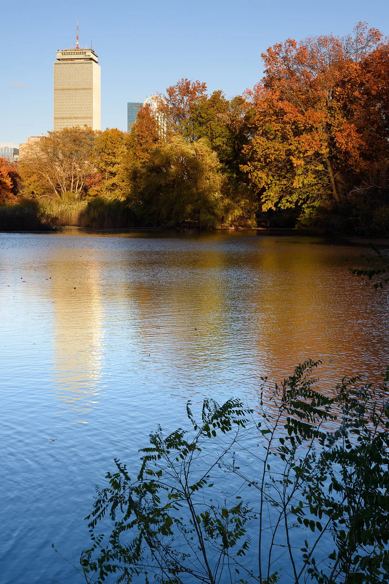 Back Bay Fens