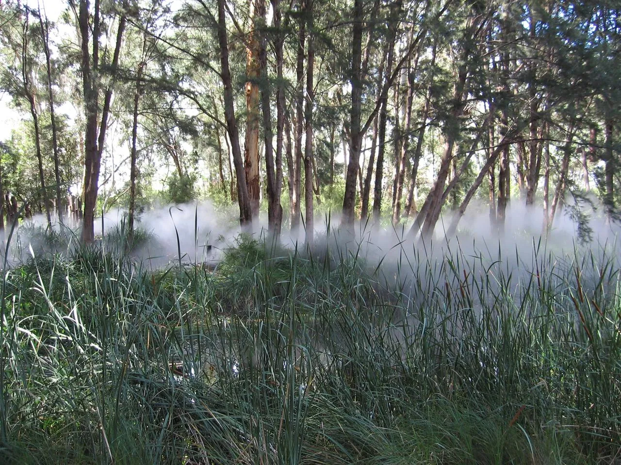 Fog Sculpture