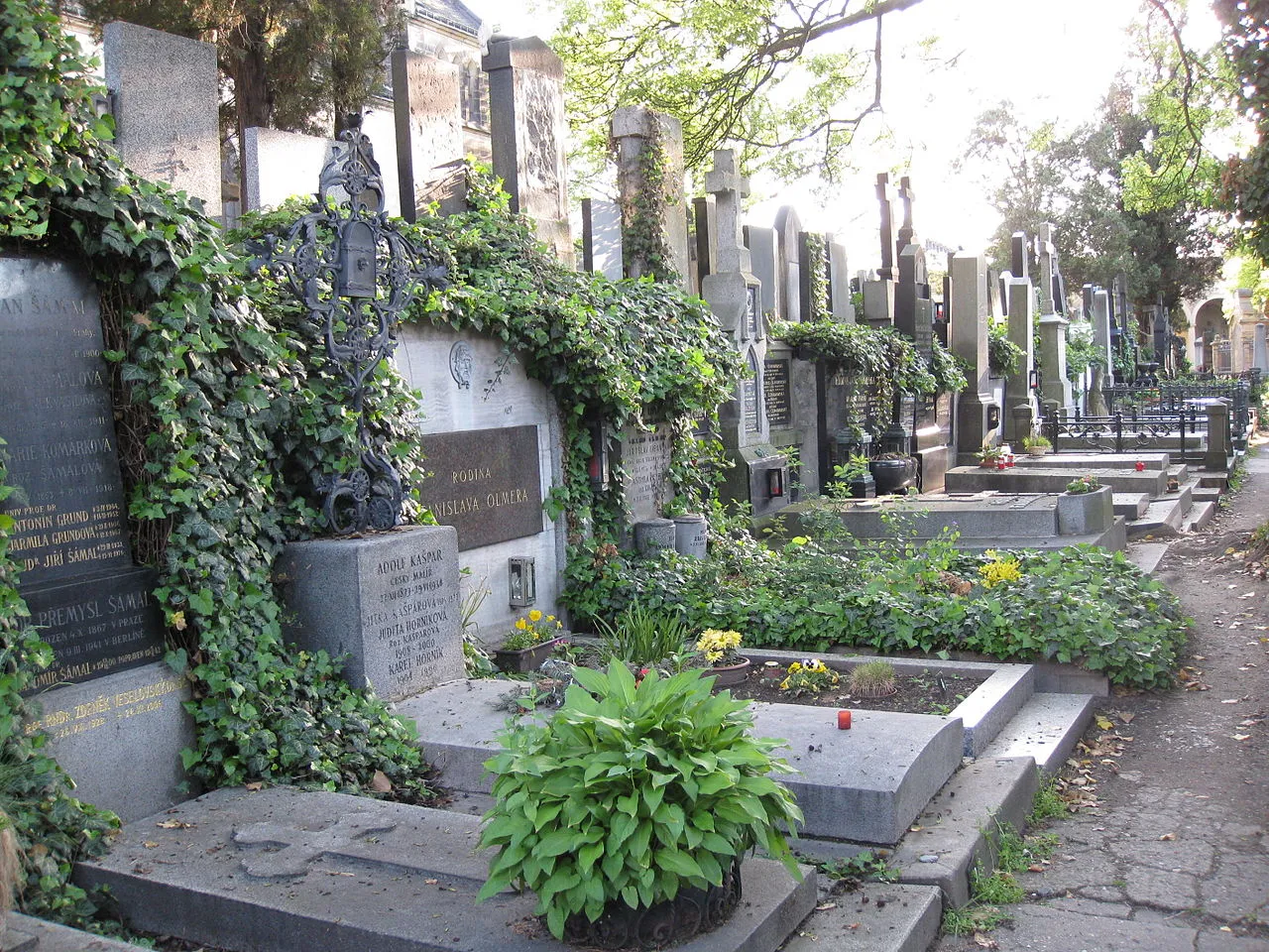Vyšehrad